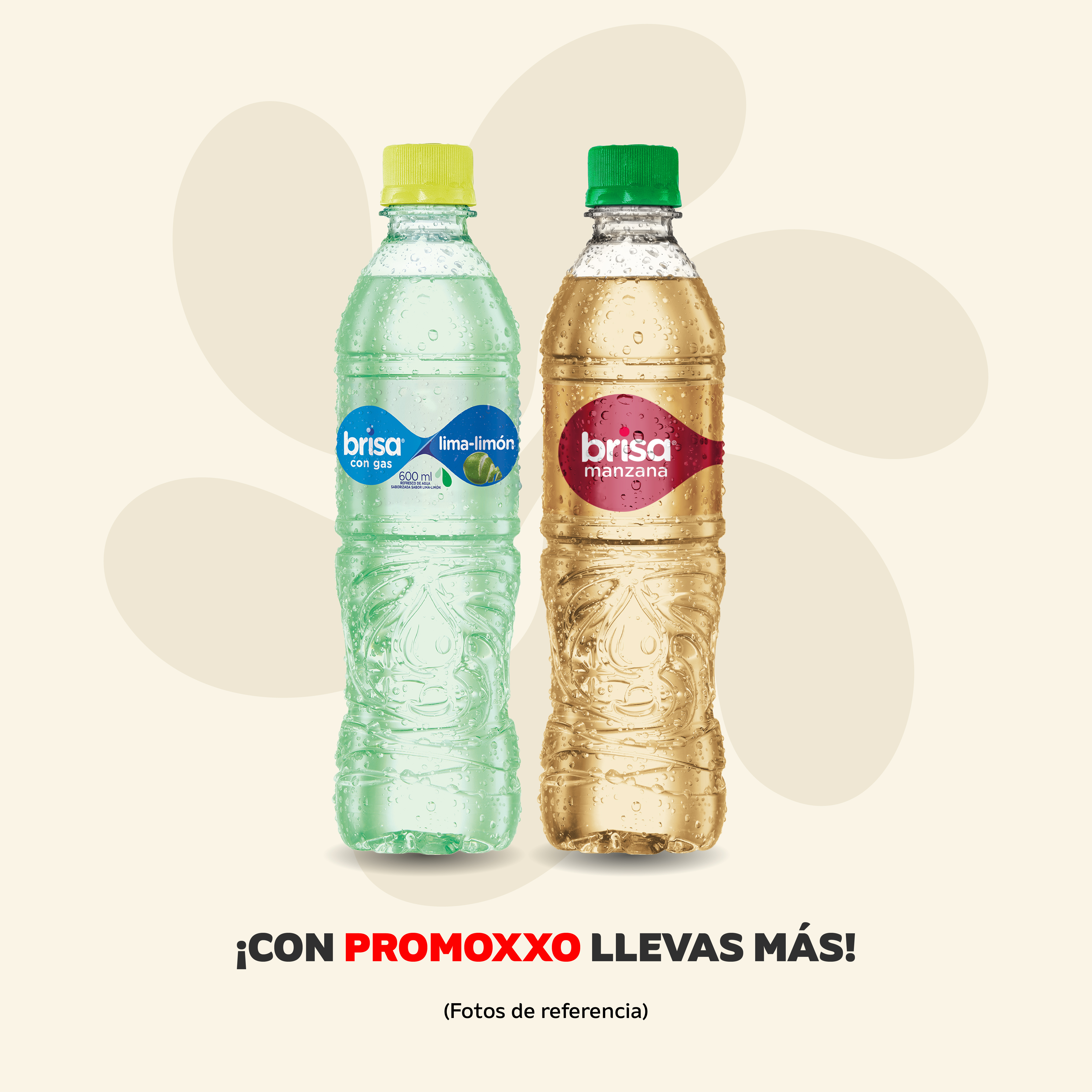 OXXO